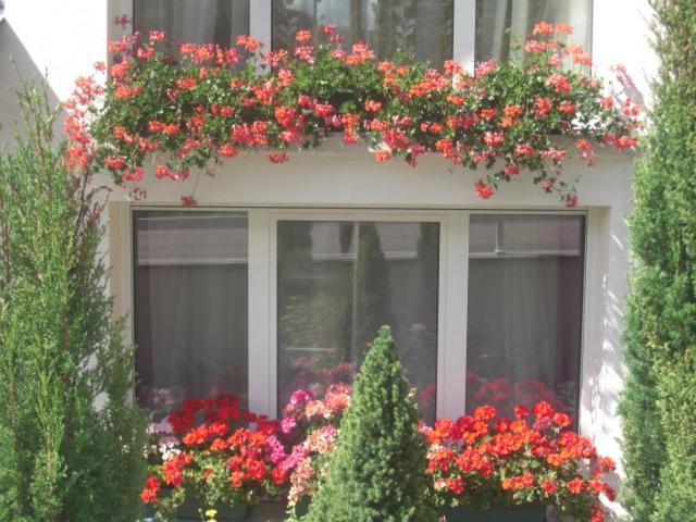 Suite Eugenie Piscine Maison Blanche Tulle Exterior foto